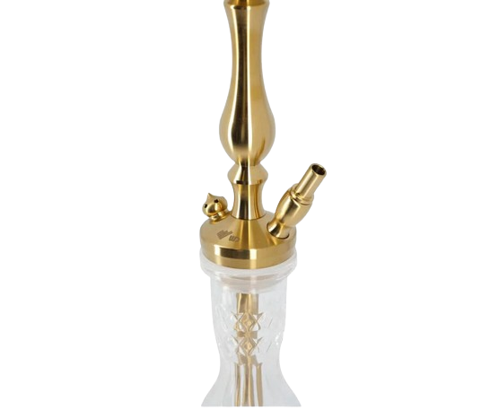 WD Hookah T1