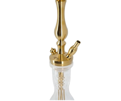 WD Hookah T1