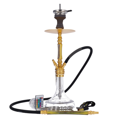 Alligator Bingo Performance Gold inkl. LED